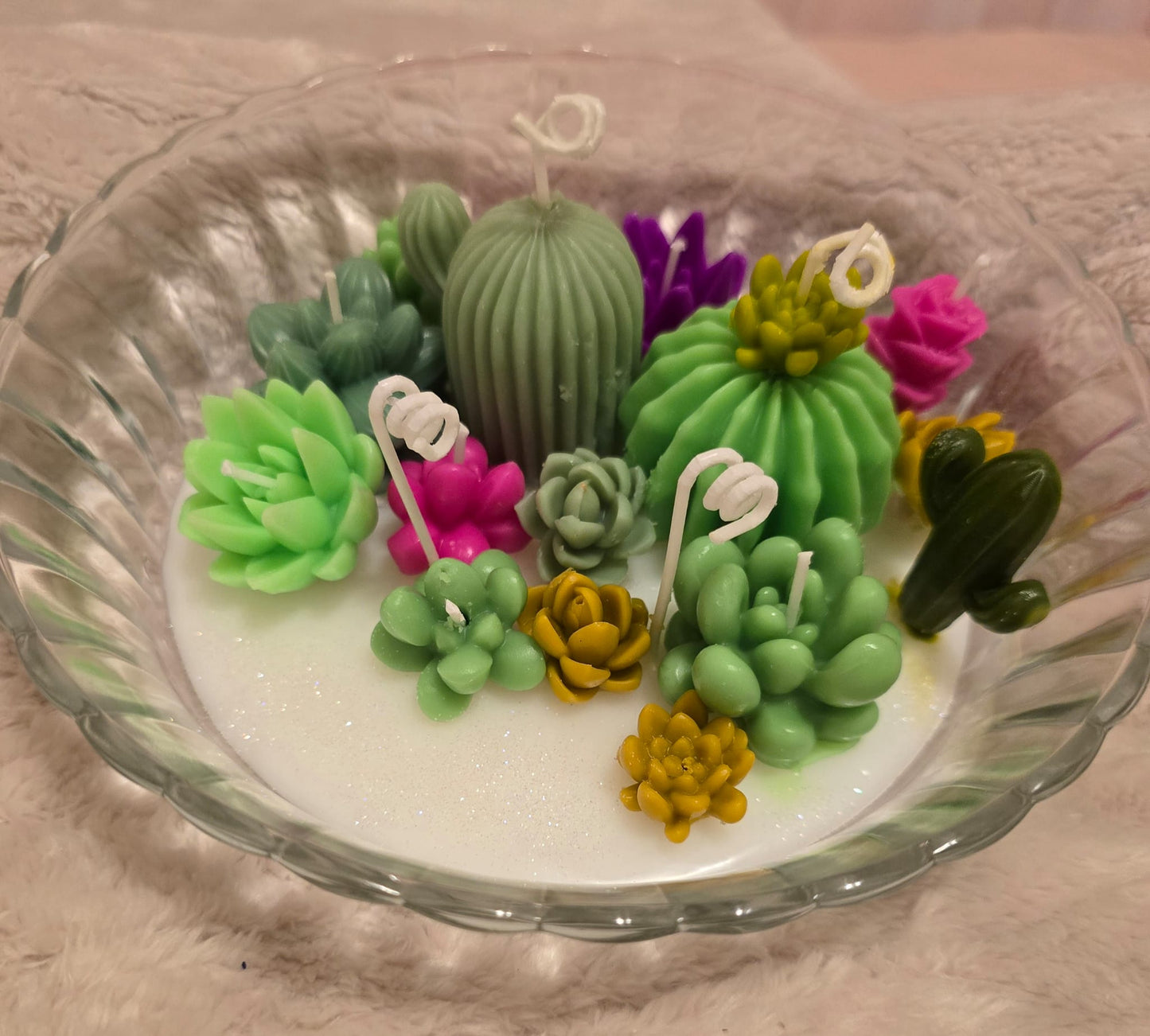 Vela Terrario